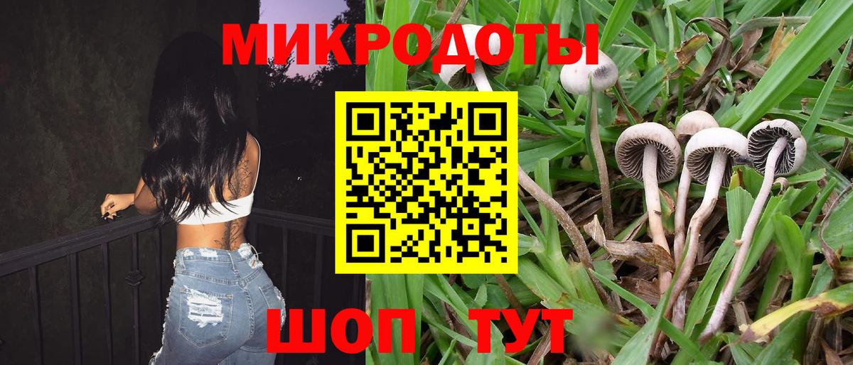 Псилоцибиновые грибы ЛСД Выборг
